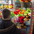 IMG-6761