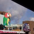 IMG-6788